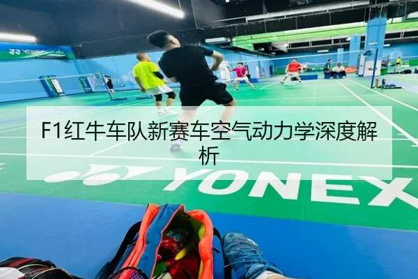 F1红牛车队新赛车空气动力学深度解析